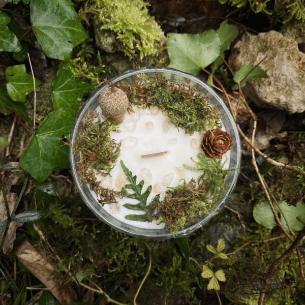 Bougie parfumée Balade en Forêt