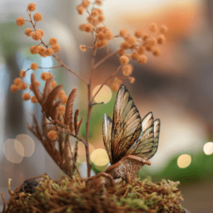 ailes de fée mimosa