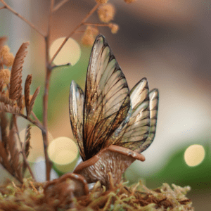 ailes de fée champignon