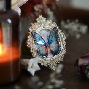 Mini cadre papillon