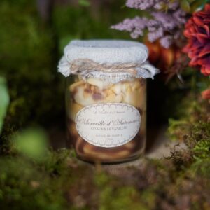 Bougie gourmande citrouille vanillée