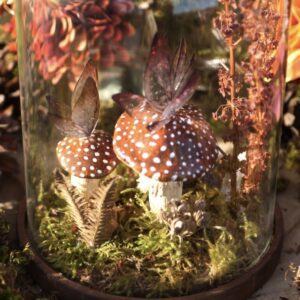 cloche en verre déco